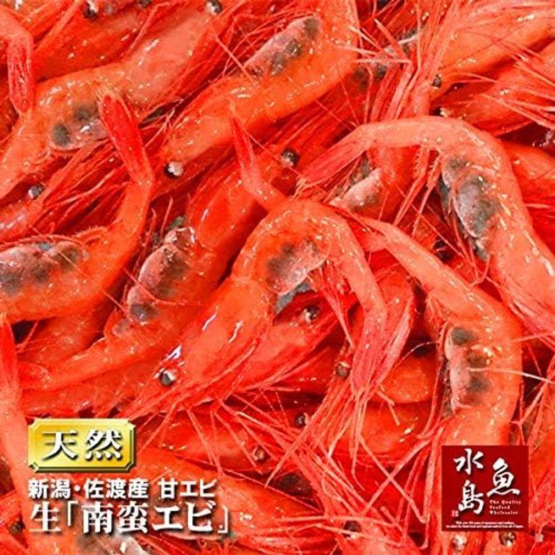 魚水島 新潟・佐渡産「獲れたて生・甘エビ」（南蛮エビ・刺身用）大サイズ1kg