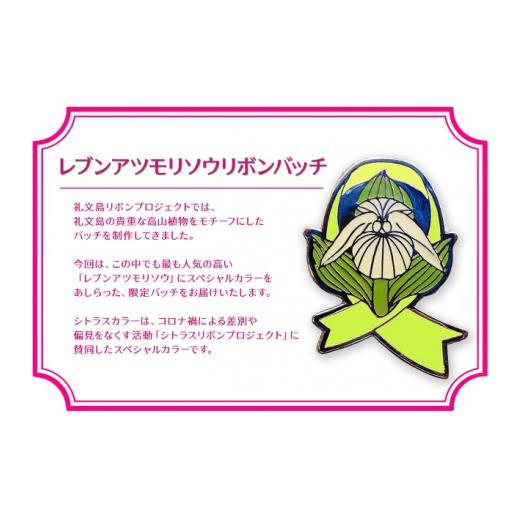 ふるさと納税 北海道 礼文町 北海道礼文島香深産　天然　切昆布　120g×2パック