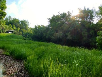 阿善識房地-獨家左鎮出泉活水池塘露營養生農園｜台南市左鎮區岡子林段