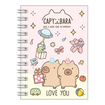 水豚 100K 側翻筆記B