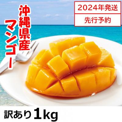 ふるさと納税 八重瀬町 沖縄県産マンゴー1kg(2〜3玉)