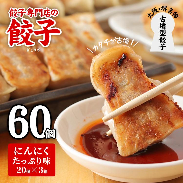 餃子 60個 餃子専門店 取り寄せ 焼餃子 20個×3箱 にんにく味 もっちり ジューシー 皮がパリッ 冷凍 ぎょうざ