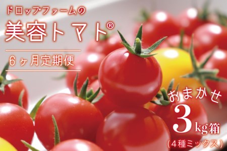 CK-5　ドロップファームの美容トマトおまかせ3kg箱(４種ミックス)6ヶ月定期便
