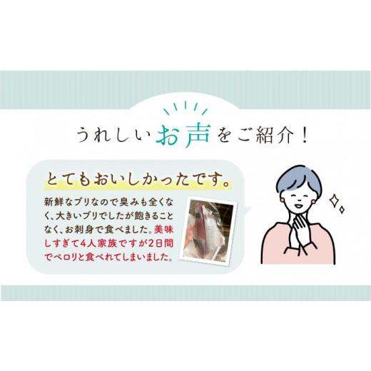 ふるさと納税 長崎県 西海市  養殖  ブリ 「光鰤」半身（ 刺身 用）1.4〜1.5kg＜小山水産＞ [CDZ001]