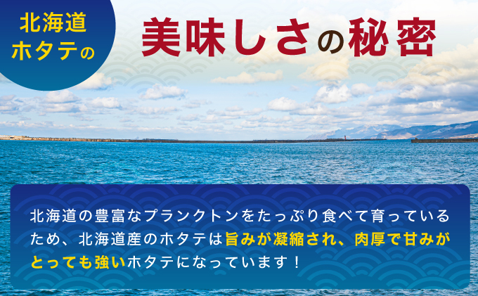 北海道 訳あり 冷凍 帆立 貝柱 1.3kg (各回1.3kg×3ヶ月分,合計約3.9kg)