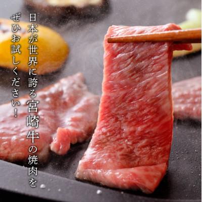 ふるさと納税 川南町 最高賞内閣総理大臣賞受賞!!宮崎牛焼肉 6種食べ比べセット(川南町)