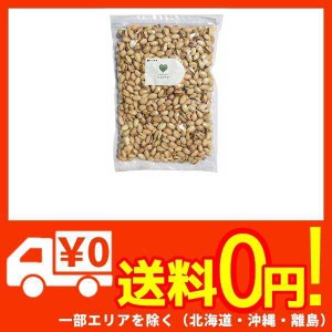 ピスタチオ 1kg ほどよい塩味 アメリカ産 国内加工 化学調味料不使用 食品添加物不使用 業務用