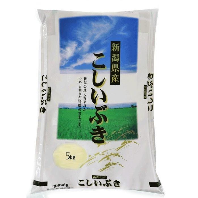 新米 令和5年産 米 お米 5kg こしいぶき 白米 新潟 送料無料 糸魚川 能生米 農家直送  精米 お取り寄せ ギフト