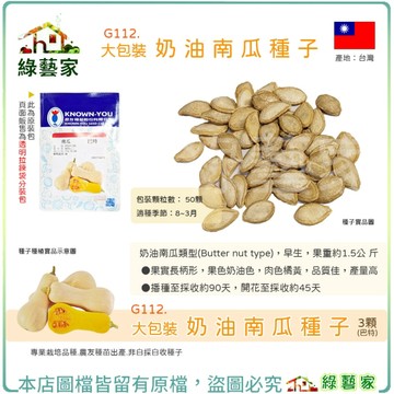 【綠藝家】大包裝G112.奶油南瓜種子50顆(巴特)早生、品質優良之奶油南瓜 肉色橘黃，品質佳，產量
