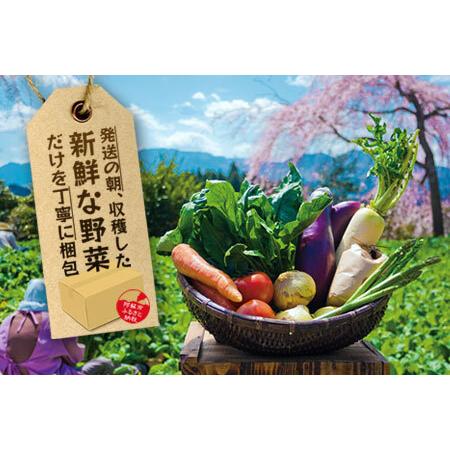 ふるさと納税 季節のお野菜セットとお米のセット 熊本県阿蘇市