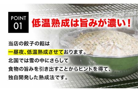 「宇都宮餃子館」健太餃子 960ｇ（４８個）≪冷凍餃子 冷凍食品 ギョーザ グルメ 食品 惣菜 中華惣菜 点心 中華≫◇