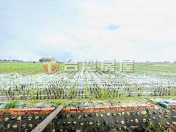 朴子竹村國小大面寬大地坪方正自用投資置產節稅農地｜嘉義縣朴子市鴨母寮