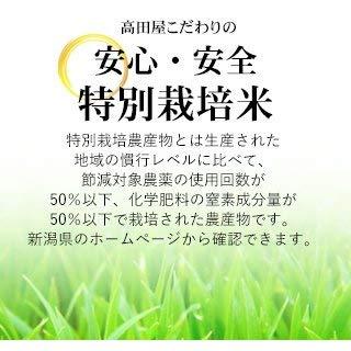 精白米 5kg 新潟県産 こしいぶき 安心安全な特別栽培米 令和4年産(5kg)