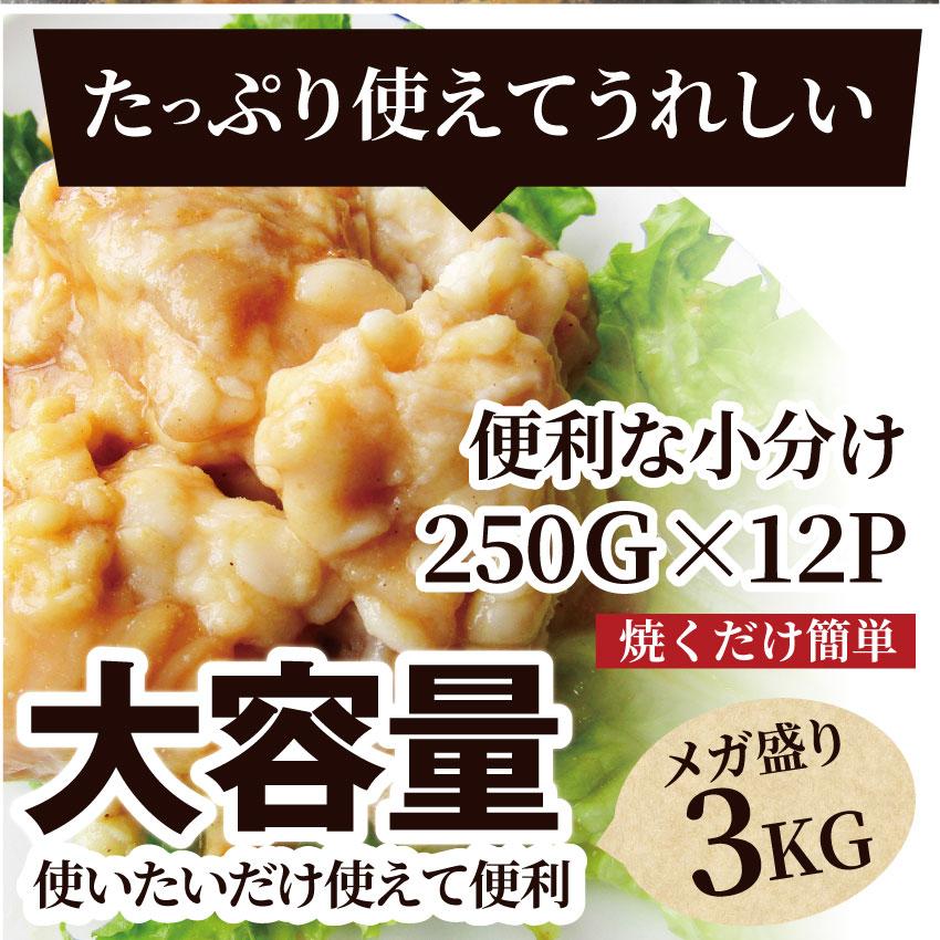 焼肉 牛肉 肉 ホルモン テッチャン モツ シマチョウ 3kg 250g×12袋 バーベキュー 焼くだけ