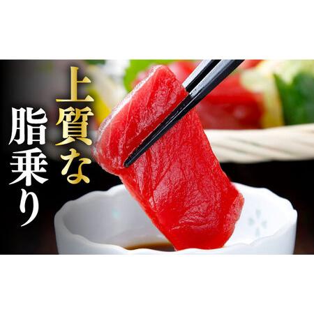 ふるさと納税 対馬産 養殖 本マグロ 3種×各1パック 赤身   中トロ   ネギトロ )《対馬市》 新鮮 マグロ 鮪 本鮪.. 長崎県対馬市