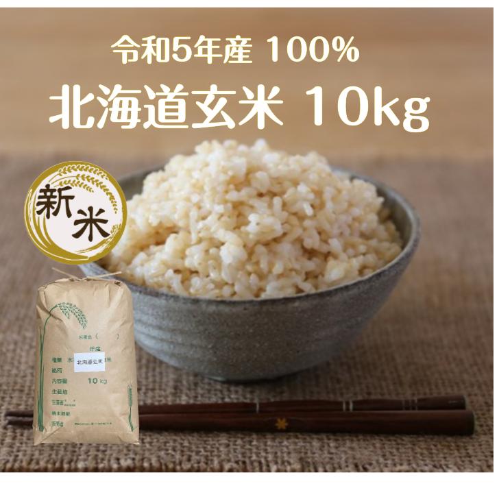 玄米 10kg「北海道 規格外 玄米10kg」５年産新米100％ 送料無料　こつぶ　玄米