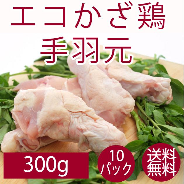 鶏肉 国産 バーベキュー から揚げ 千葉県産 エコかざ鶏　ウィング（手羽元） 300g 　10パック　送料無料