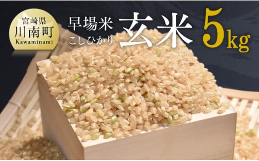 令和5年産 早場米 勝本さんちのこしひかり 玄米 5kg [E5901]