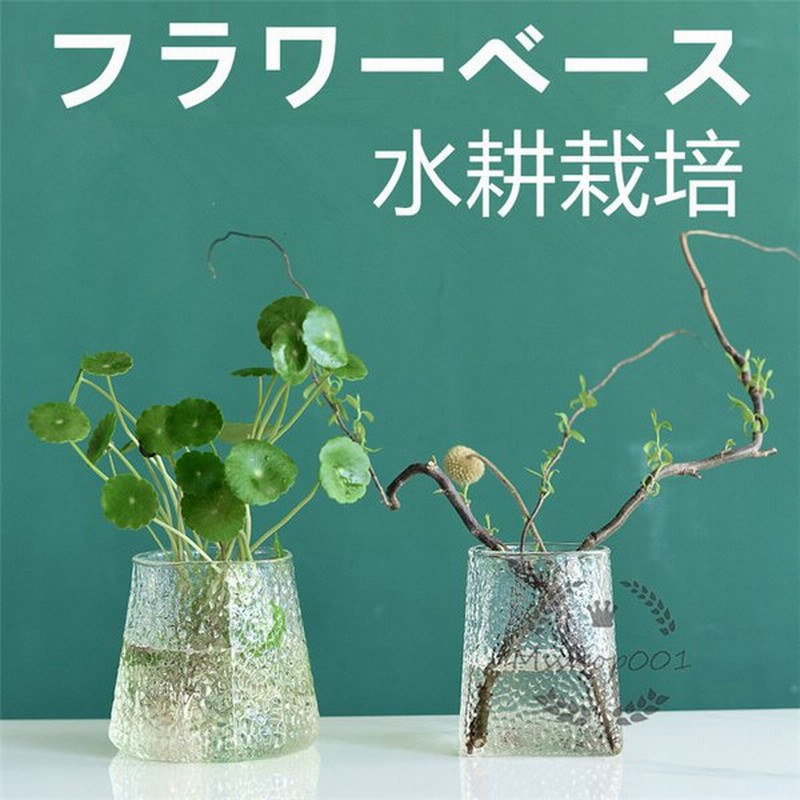 フラワーベース 花瓶 おしゃれ ガラス 梅柄 無地 クリア 工芸品 可愛い 生け花 植物 水栽培 水耕栽培 一輪挿し 多肉植物 エアプランツ 母の日 プレゼント 通販 Lineポイント最大0 5 Get Lineショッピング
