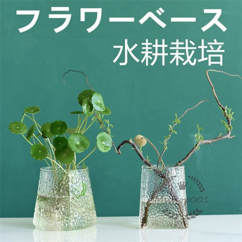 フラワーベース 花瓶 おしゃれ ガラス 梅柄 無地 クリア 工芸品 可愛い 生け花 植物 水栽培 水耕栽培 一輪挿し 多肉植物 エアプランツ 母の日 プレゼント 通販 Lineポイント最大get Lineショッピング