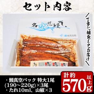 ふるさと納税 鹿児島県産うなぎ蒲焼 名水慈鰻 特大3尾(1尾190g以上)＜計570g以上＞ b3-006 鹿児島県志布志市