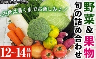 y358 野菜と果物旬の詰め合わせ(12～14品目)