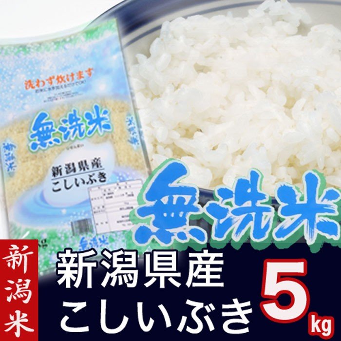 新米 米 無洗米 新潟県産 こしいぶき 5kg (新潟米 お米 令和5年産 R5)