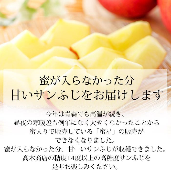 りんご 青森県産 高糖度サンふじ 約5kg 18〜20玉 糖度14度以上