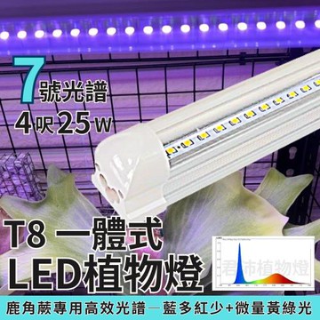 【君沛植物燈】LED植物燈管 T8一體式 7號光譜 25W 120cm×3支(鹿角蕨專用燈 植物生長燈)