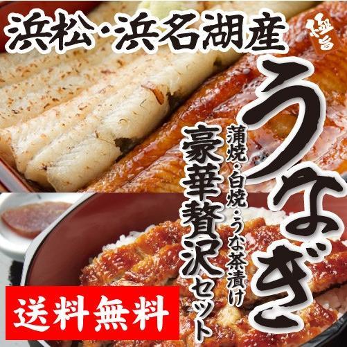 うなぎ 蒲焼き 国産 真空パック 浜名湖　 (蒲焼・白焼・うなぎ 茶漬け) 6食入り 送料無料