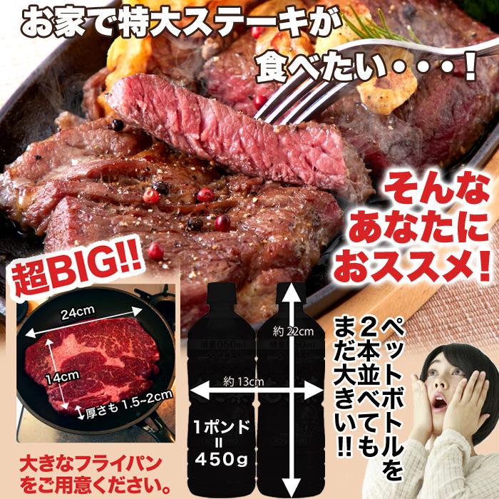 牛肩ロース熟成肉1ポンドステーキ(450g）冷凍 送料無料