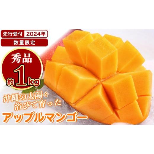 ふるさと納税 沖縄県 南城市 アップルマンゴー 秀品 南城市 約1kg (2〜3玉)