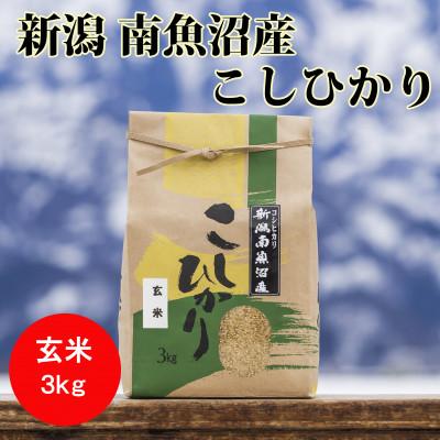 ふるさと納税 南魚沼市 南魚沼産こしひかり(玄米)