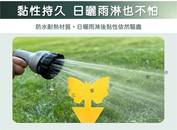 蝴蝶黏蟲板 造型黏蟲板 物理防治 氣味 雙面黏蟲板 果實蠅 誘捕器 捕蟲昆蟲 小飛蟲 園藝除蟲 地插款 庭院 抓蟲 防曬