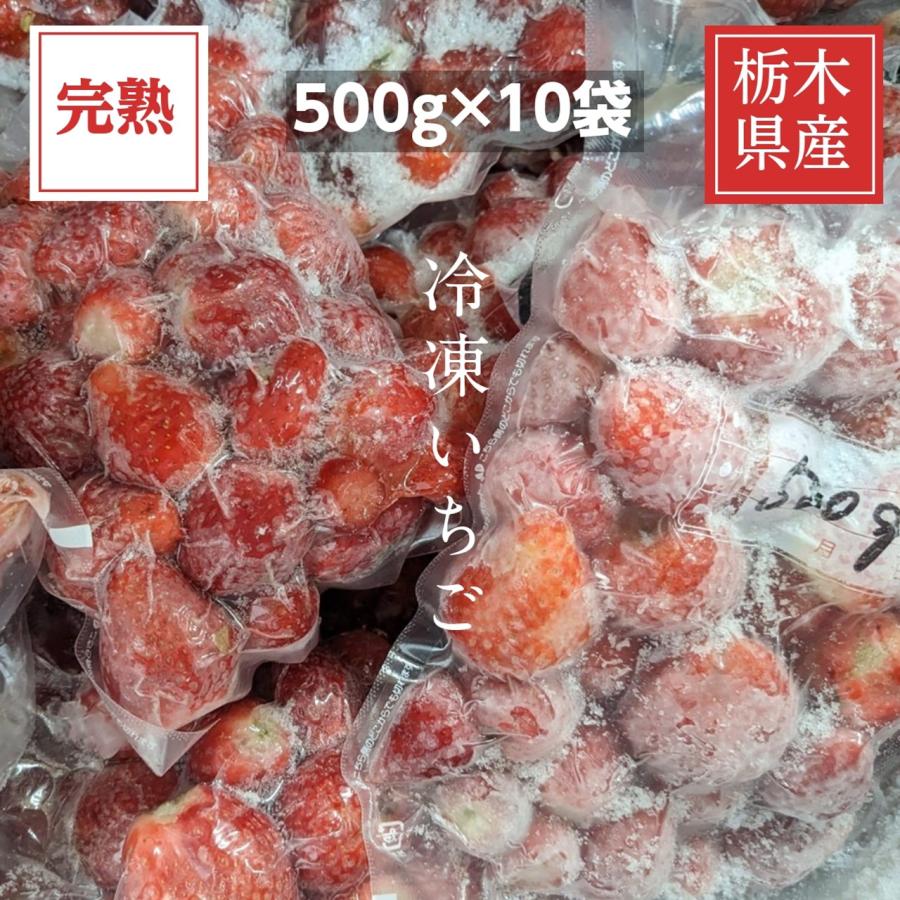 いちご 冷凍いちご 家庭用 5kg 500g×10袋 栃木県産 イチゴ 苺 いちご 完熟  国産 業務用