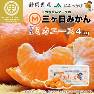 [予約 2023年 11月10日-12月20日の納品] 三ケ日みかん 早生 ミカエース 約 4kg 静岡県産 JAみっかび 早生 産地箱　 冬ギフト お歳暮 御歳