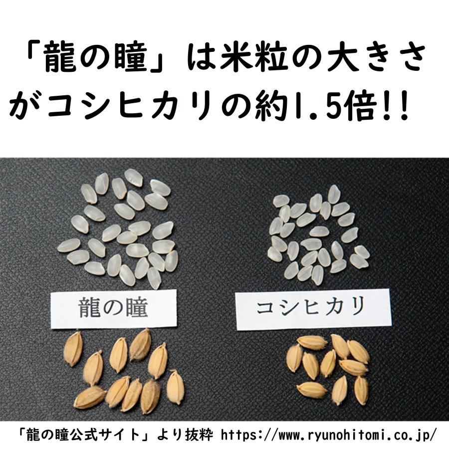 龍の瞳 岐阜県産 2kg 令和5年産 白米 お歳暮 ギフト