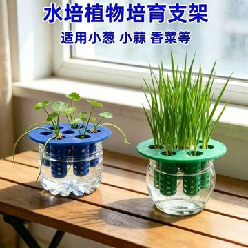 ⚡臺灣出貨⚡水培植物定植籃支架家用小蔥小蒜香菜無土栽培神器塑料固定架 八月優選