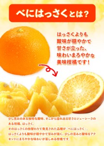 紅八朔(ポッポ) 10kg(2L-L) JA紀の里農業協同組合 《2024年3月中旬-3月末頃より順次出荷》 和歌山県 紀の川市 果物 フルーツ 柑橘 はっさく