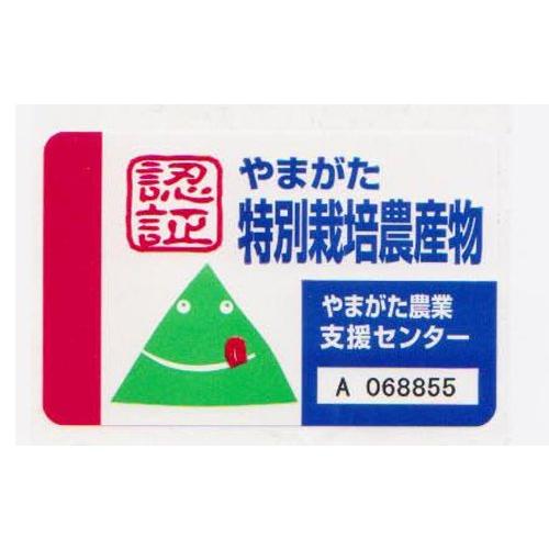 山形県庄内産 特別栽培米認証 はえぬき 精米 5ｋｇ 令和5 年産