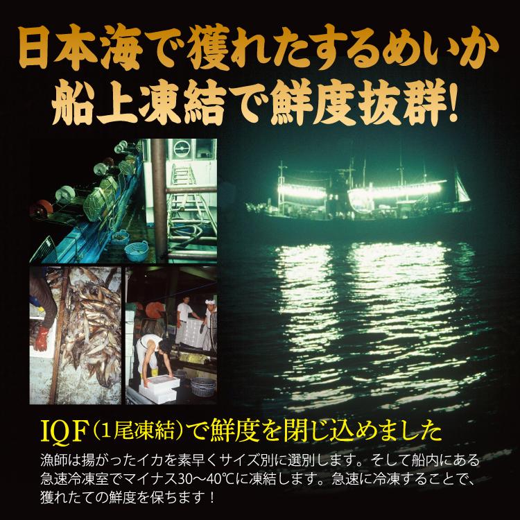 お歳暮 バーベキューセット 海鮮 BBQセット 日本海 するめいか 8杯 船凍イカ