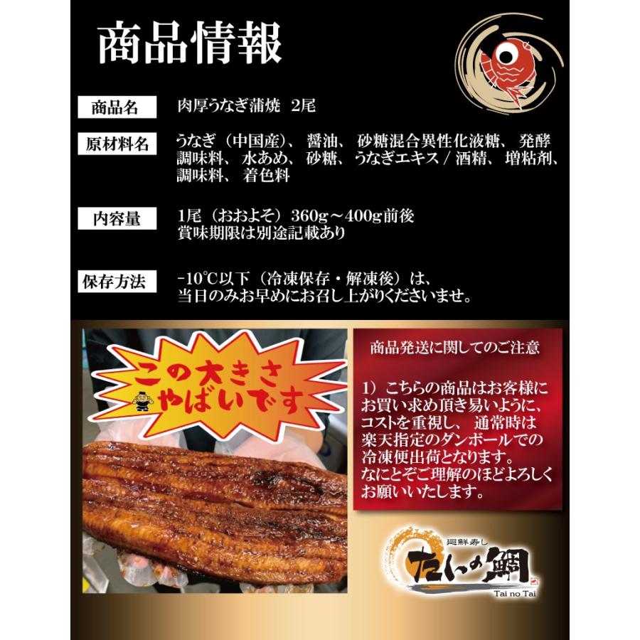 超特大 うなぎ 蒲焼き メガサイズ 360g-400g ×2本 ウナギ 鰻 ギフト 肉厚特大うなぎ