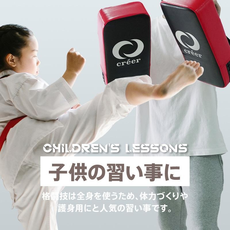 キック ミット 2個 セット 空手 子供 大人 トレーニング