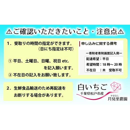 ふるさと納税 千葉県 松戸市 EH003-a 千葉県松戸市産白いちご　1パック　1月下旬発送