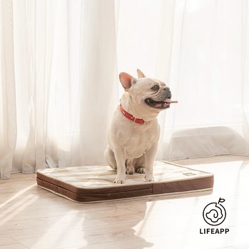 LIFEAPP 經典格子睡墊 狗床 寵物緩壓墊 - M:W80xD55xH5cm ±5%-淺水綠
