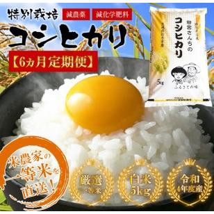 ふるさと納税 L-8 令和5年産田宮さんちのコシヒカリ 5kg×6回 茨城県行方市