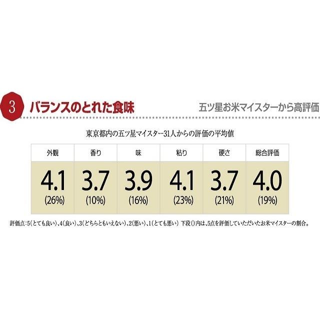 米 岩手県雫石産 銀河のしずく10Kg 白米・無洗米・分づきにお好み精米 送料無料 当日精米