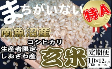 玄米 生産者限定 南魚沼しおざわ産コシヒカリ10Kg×12ヶ月
