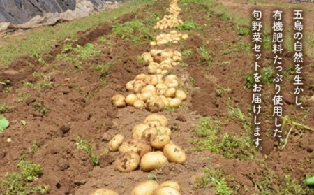 五島列島の旬野菜セット7?10品目 おまかせ おたのしみ 詰め合わせ 五島市 五島のやぁしゃ便 [PBG002]