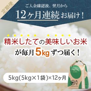 ふるさと納税  米 5kg まっしぐら 青森県産 （精米） 青森県五所川原市